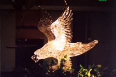 Eagle1